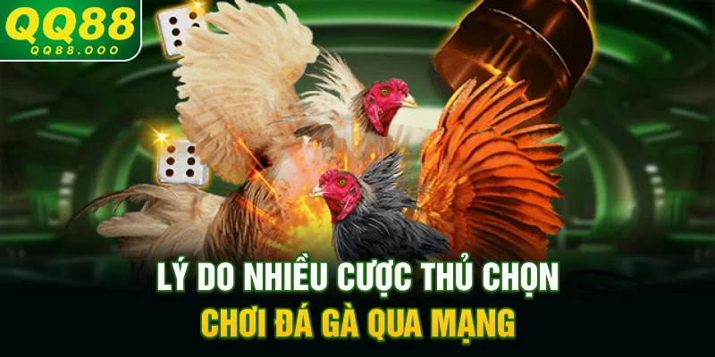 Lý do nhiều cược thủ chọn chơi đá gà qua mạng
