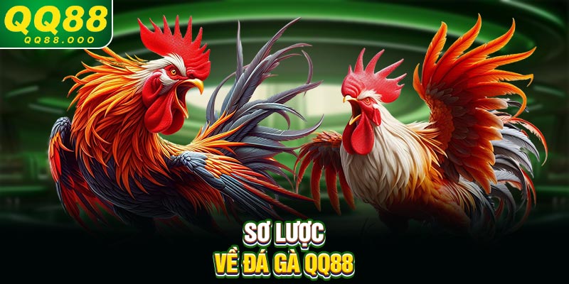 Sơ lược về đá gà QQ88